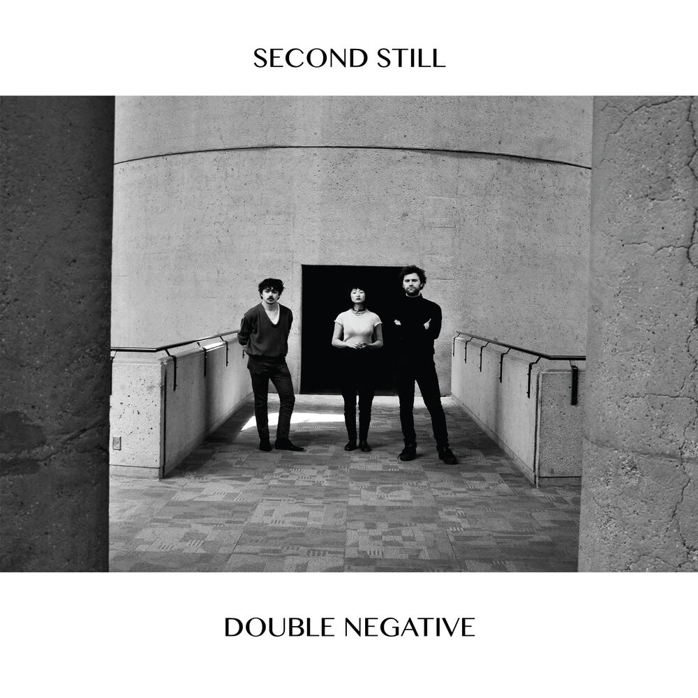 Picture of Double Negative
