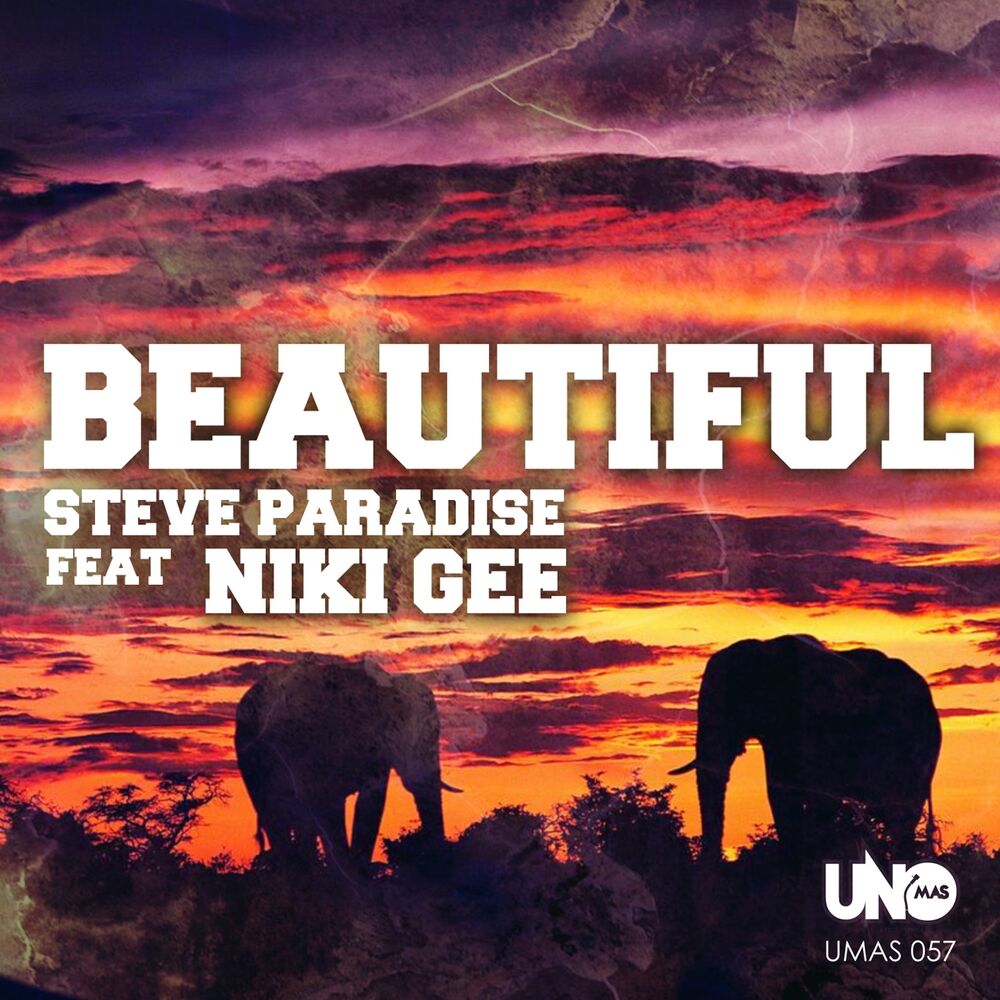 Picture of Beautiful (Lukas Wolf Remix)
