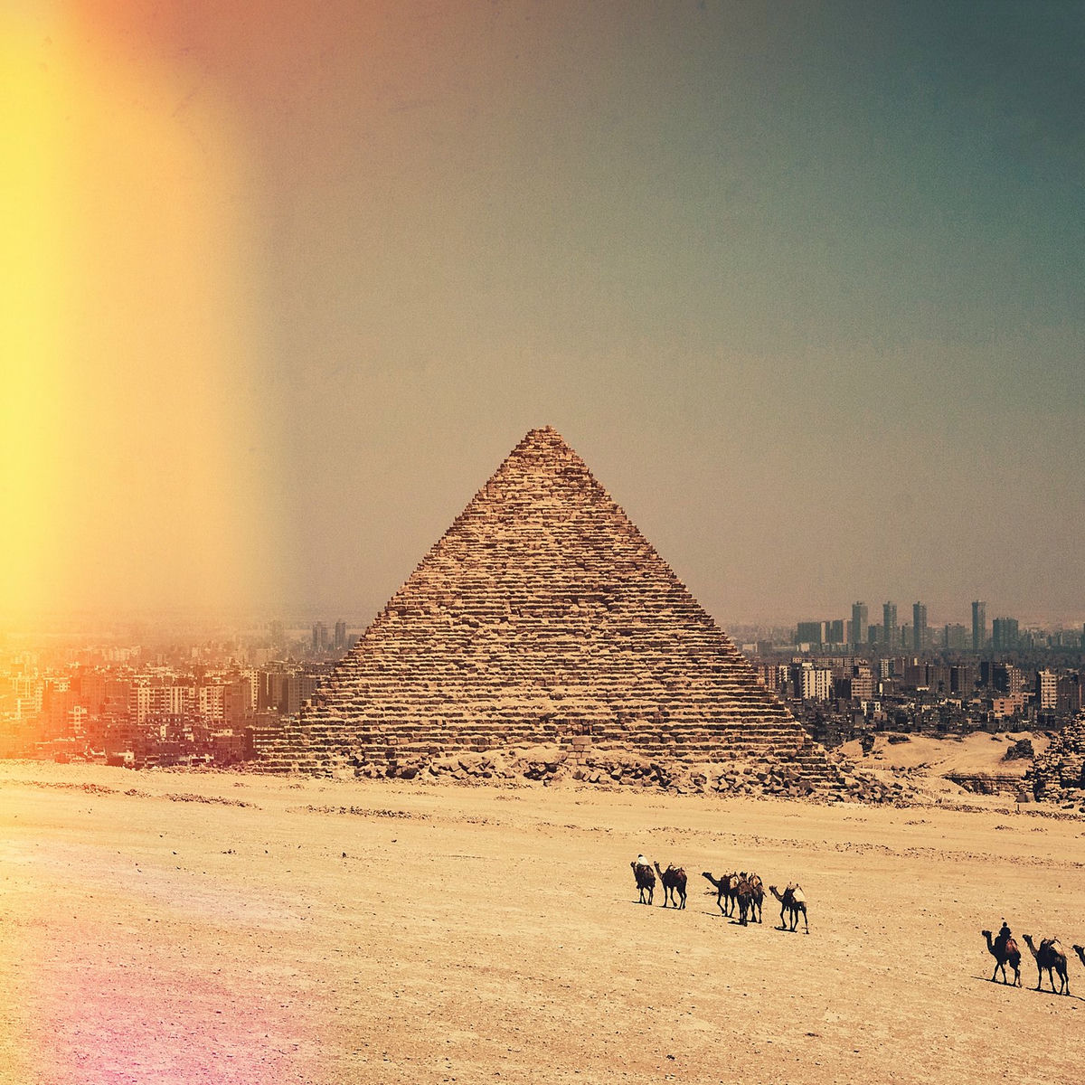 Album cover of Pharaoh