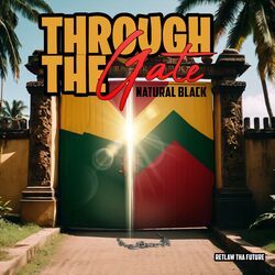 Cover of Through the Gate