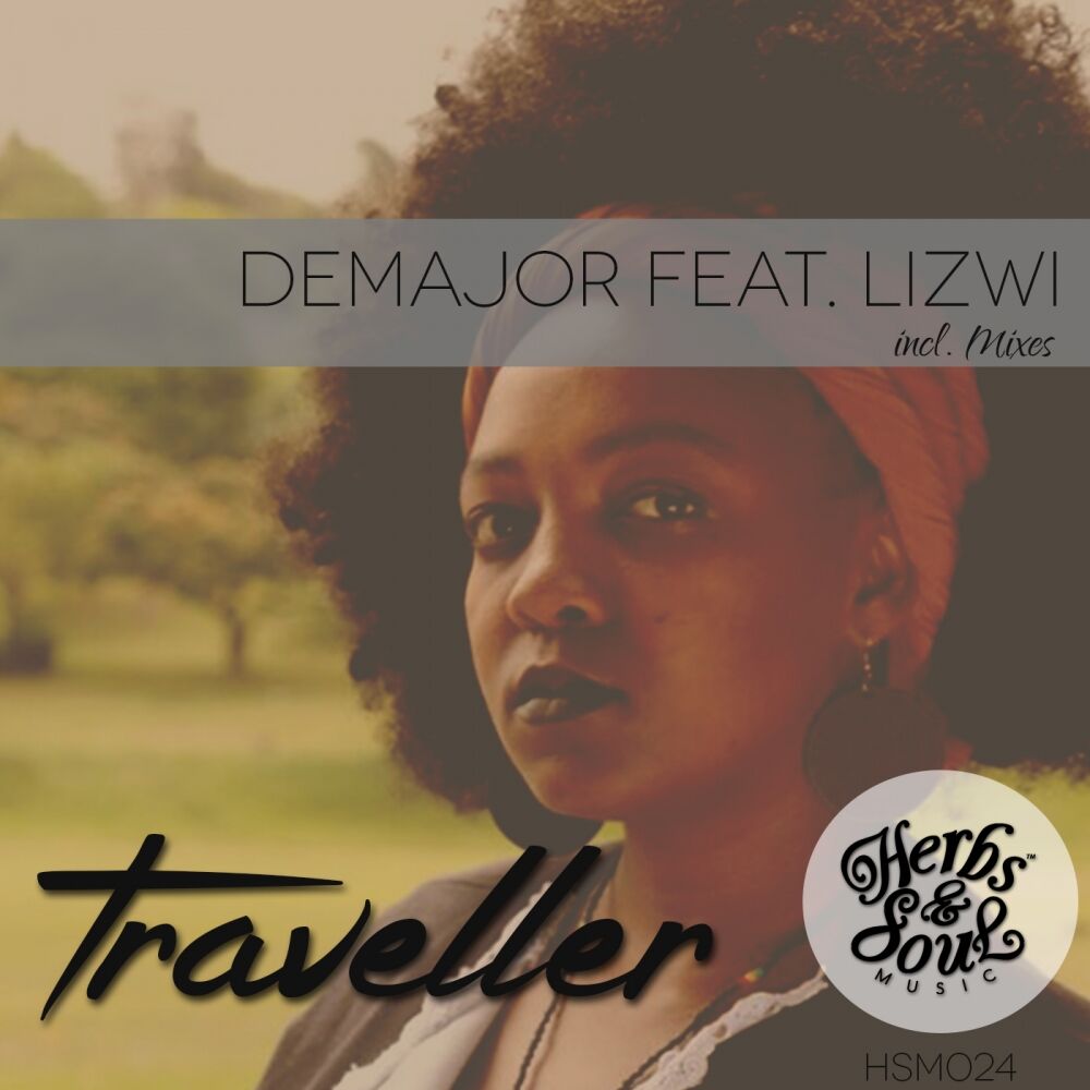 Picture of Traveller