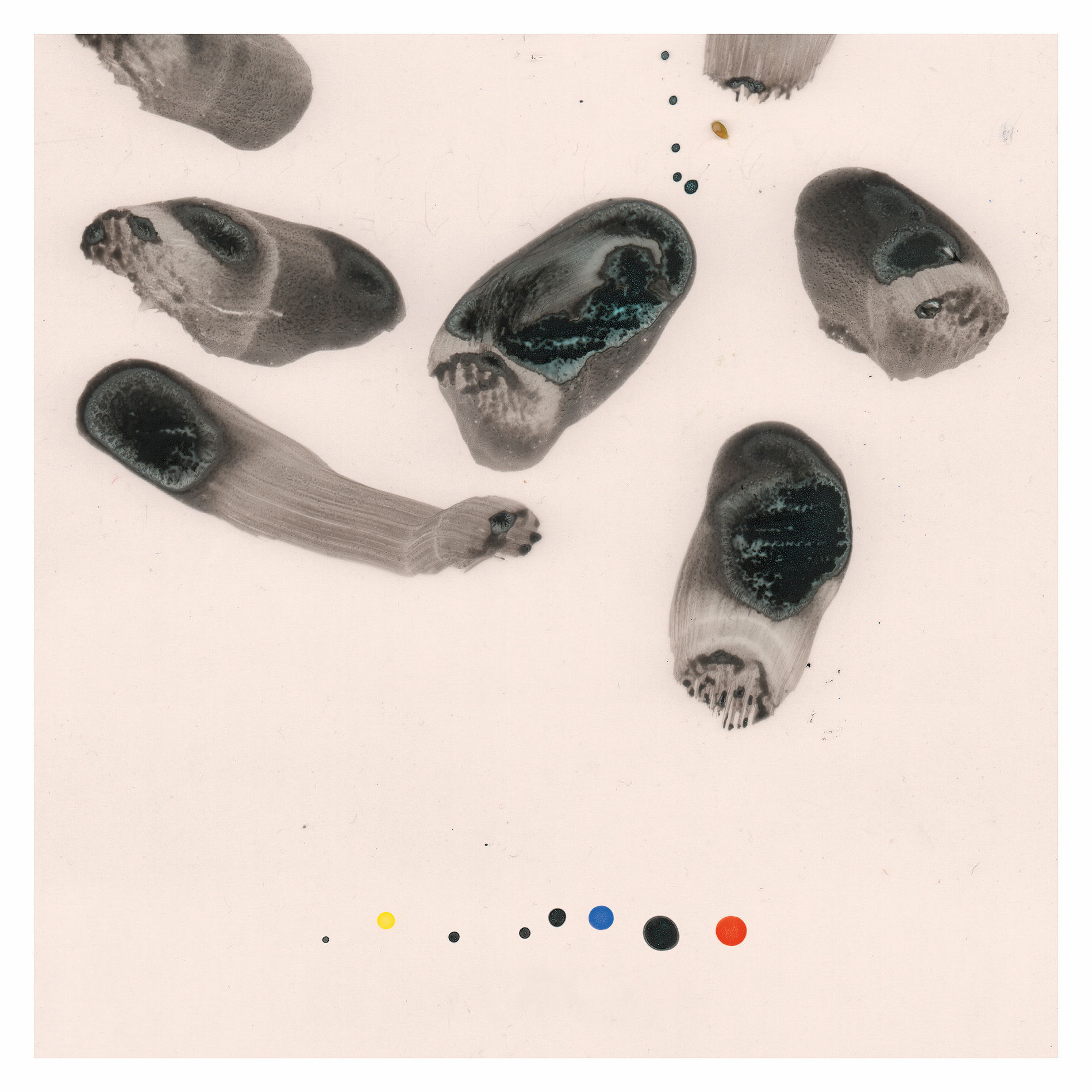 Album cover of Impressions