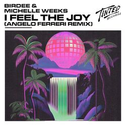 Cover of I Feel the Joy (Angelo Ferreri Remix)