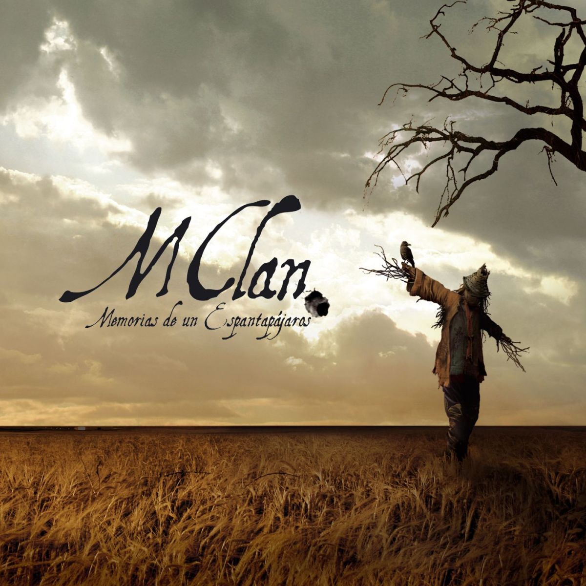 Album cover of Memorias de un espantapajaros