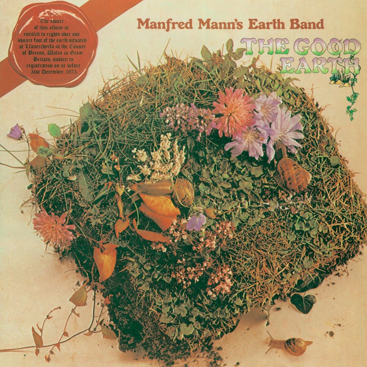 Album cover of Earth Hymn