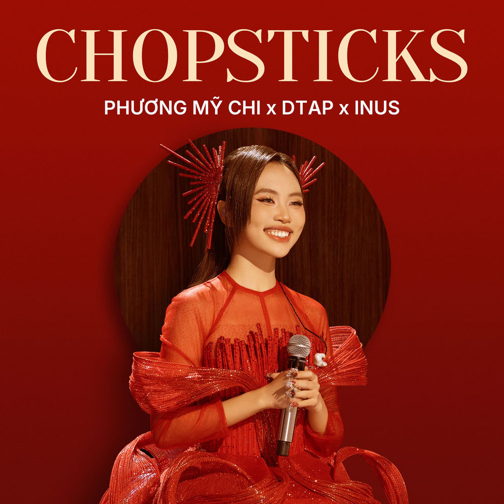 Chopsticks cover