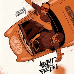 Cover of About The Feeling