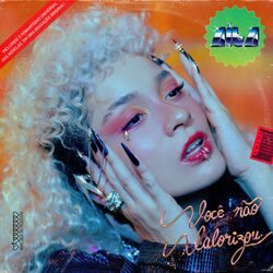 Cover of Você não Valorizou