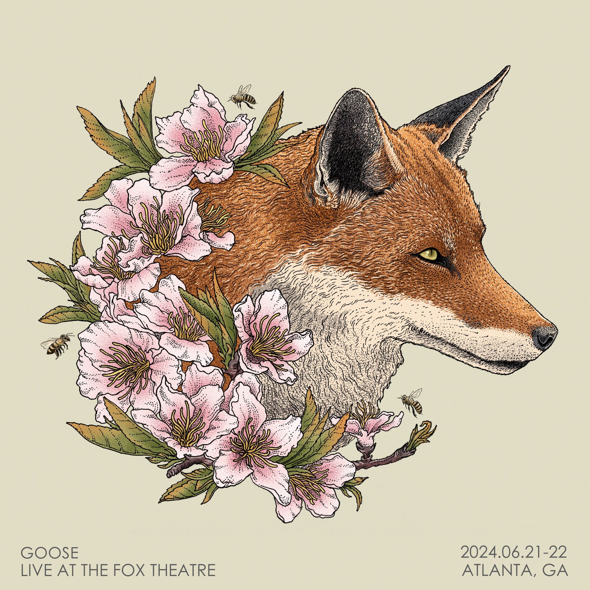 Album cover of Live at The Fox Theatre