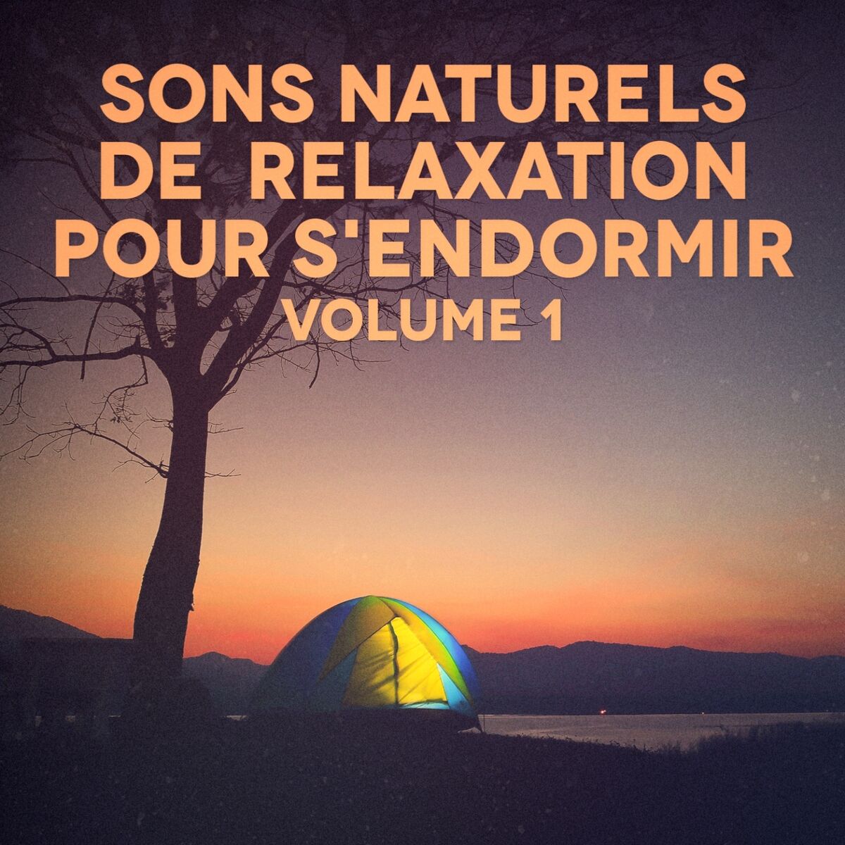 Album cover of Sons naturels pour le sommeil et la relaxation