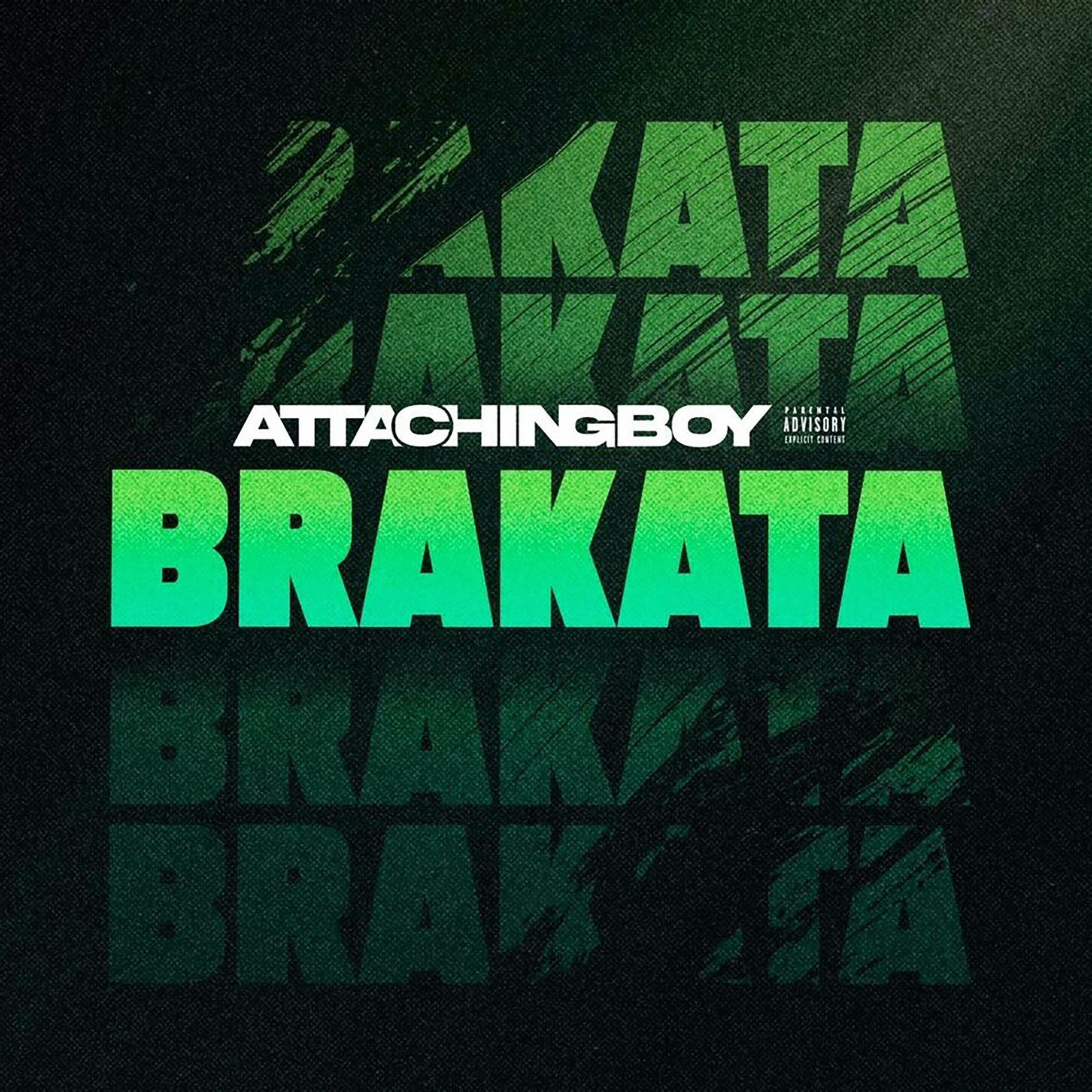 Album cover of BRAKATA