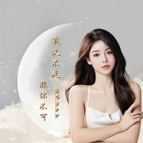 我又不是非你不可 (DJ版)