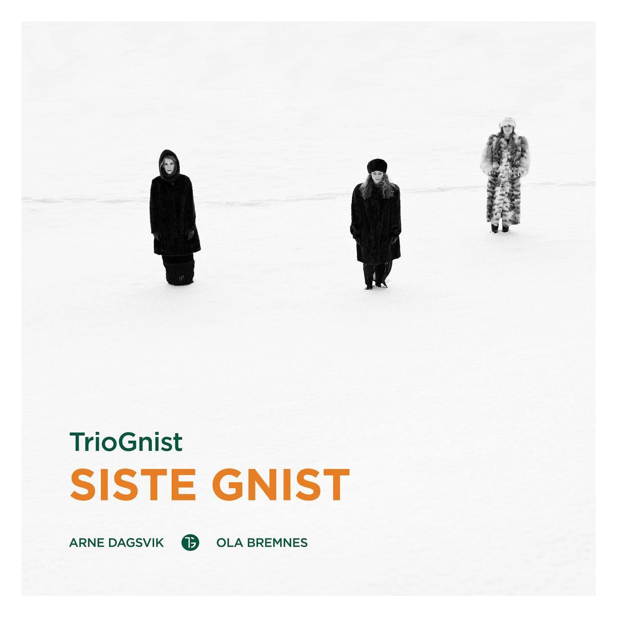 Album cover of Siste Gnist
