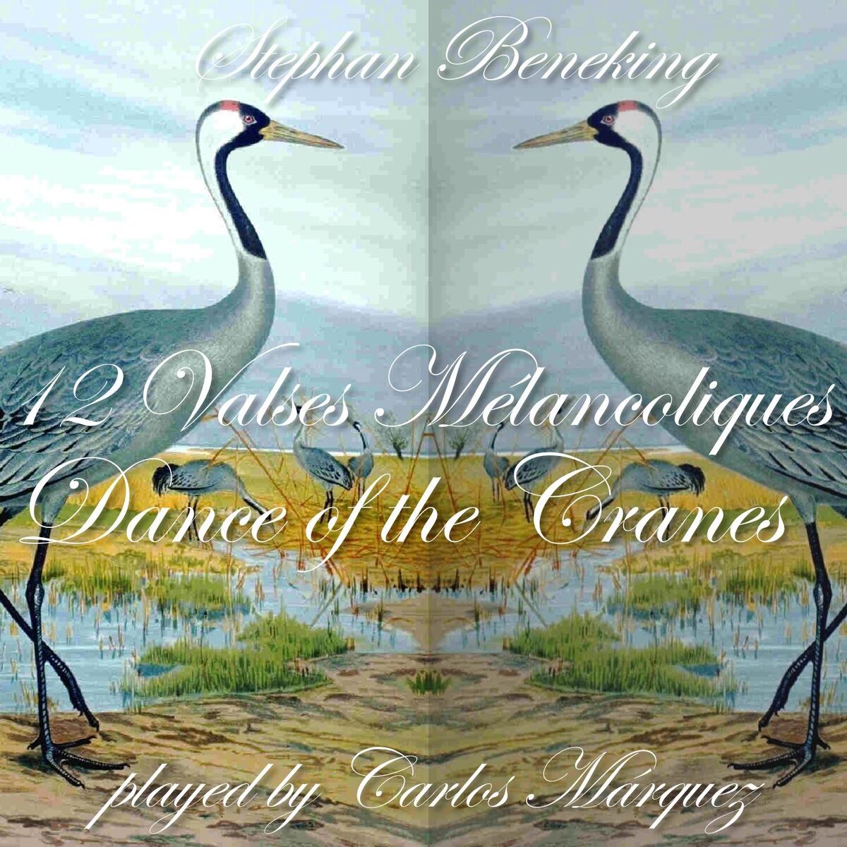 Album cover of 12 Valses Mélancoliques - Dance of the Cranes