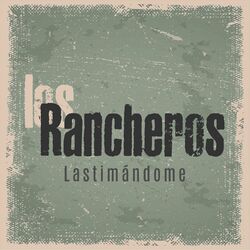 Cover of Lastimándome