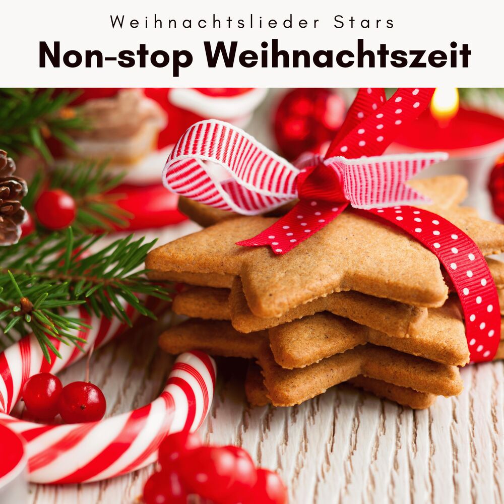 Picture of 2022 Non-stop Weihnachtszeit Vol. 2