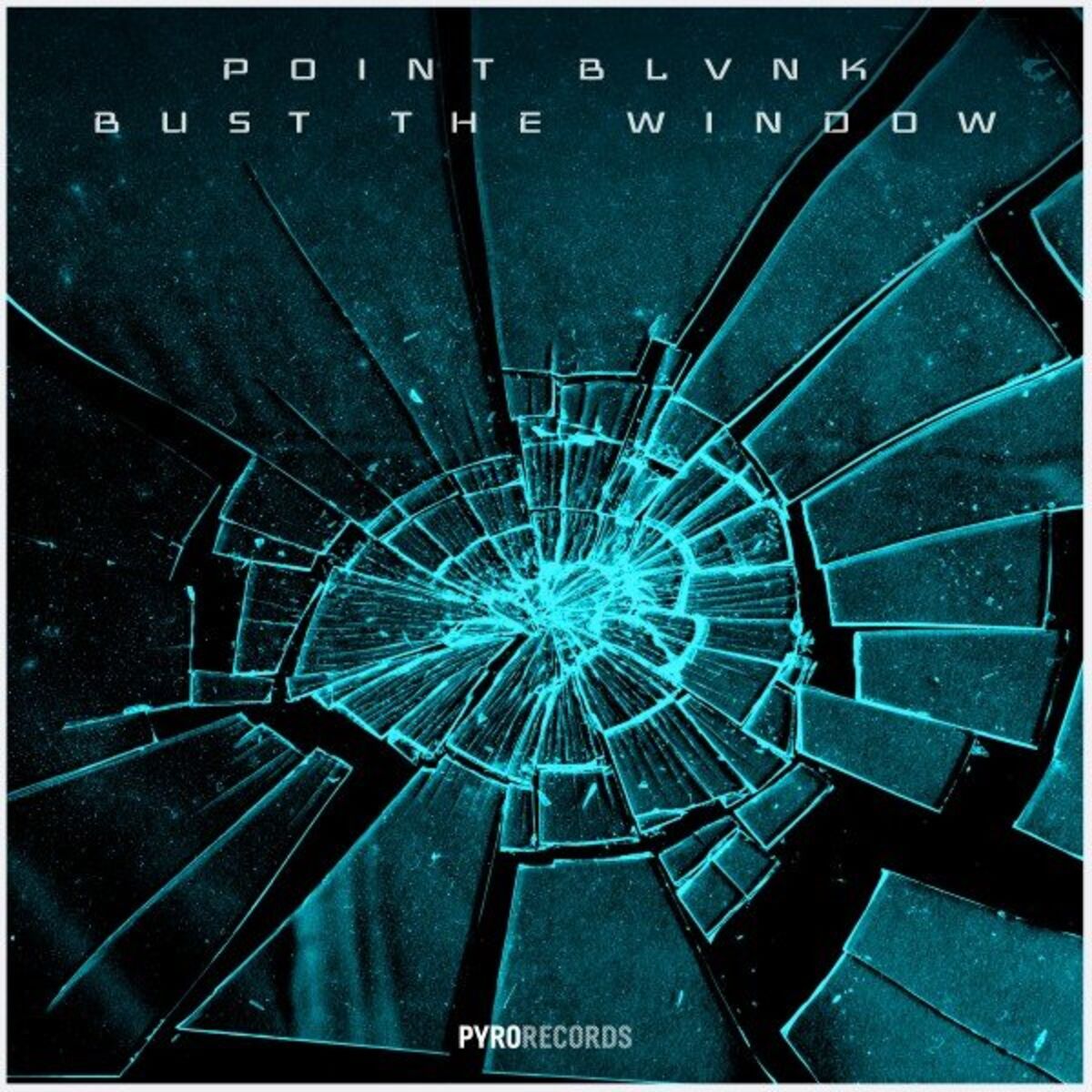 Album cover of Bust the Window