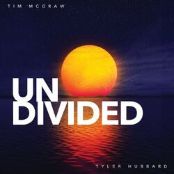 Cover of Undivided