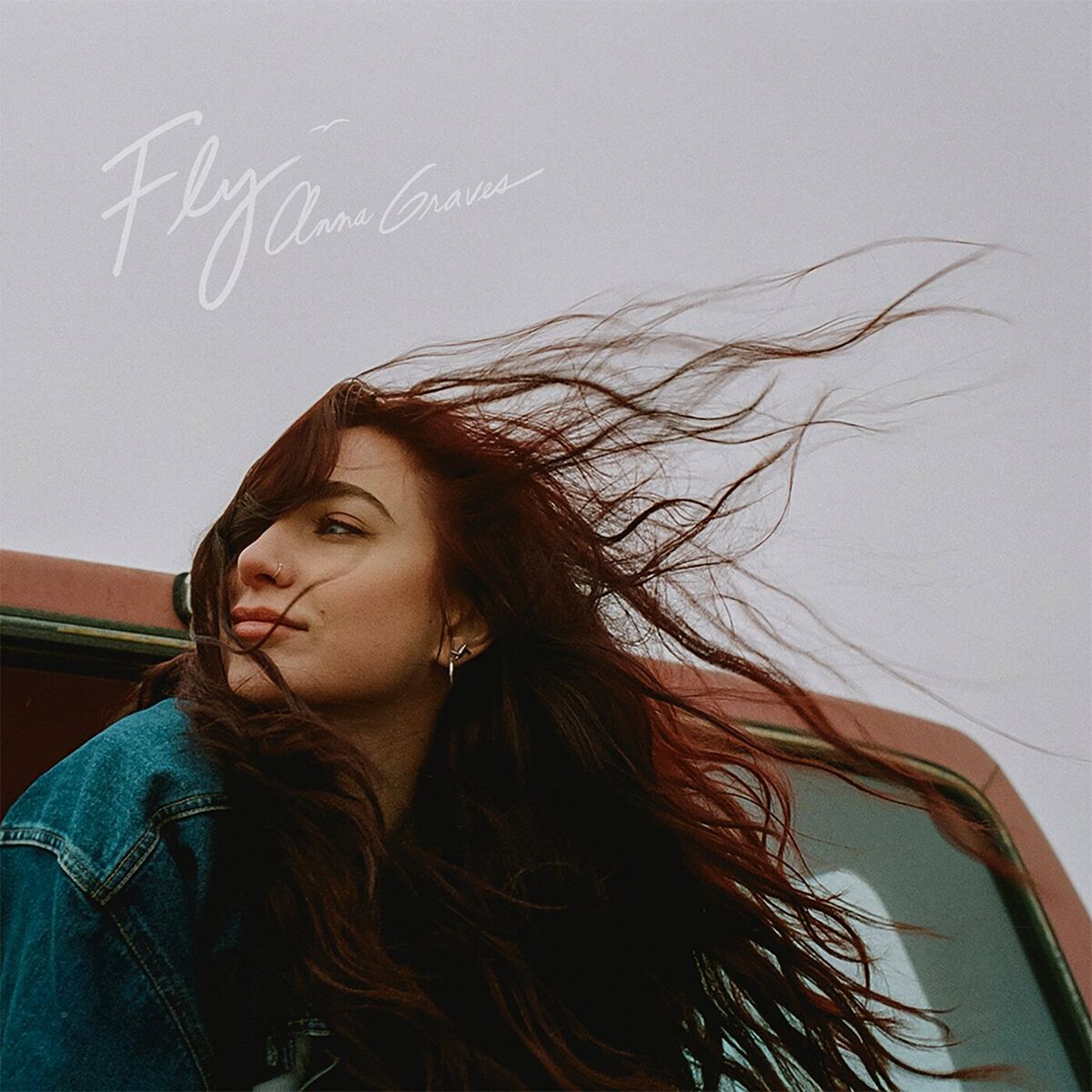 Album cover of Fly