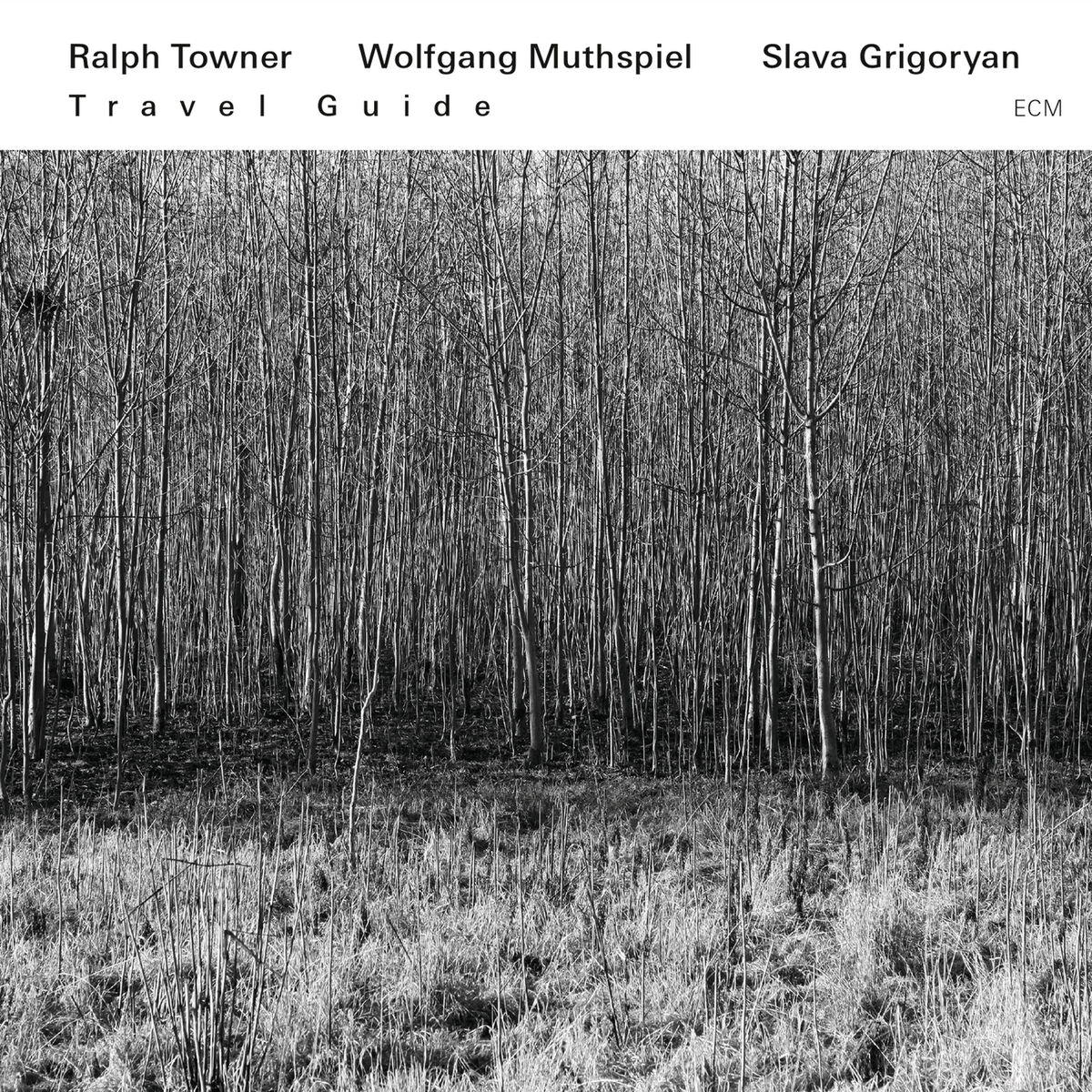 Album cover of Duende