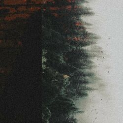 Cover of Alone