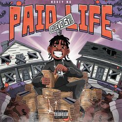 Cover of Paid Life