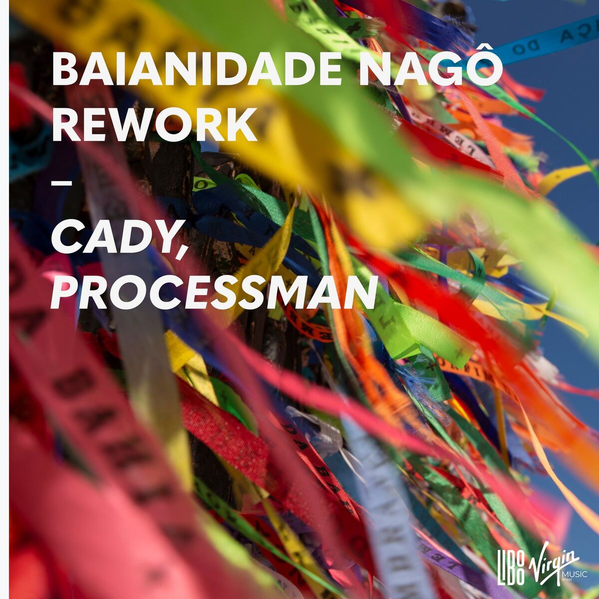Album cover of Baianidade Nagô