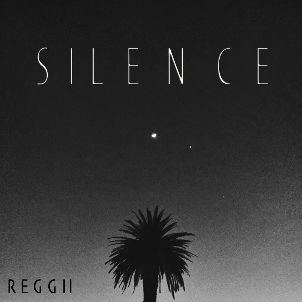 Picture of Silence