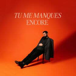 Cover of Tu me manques encore