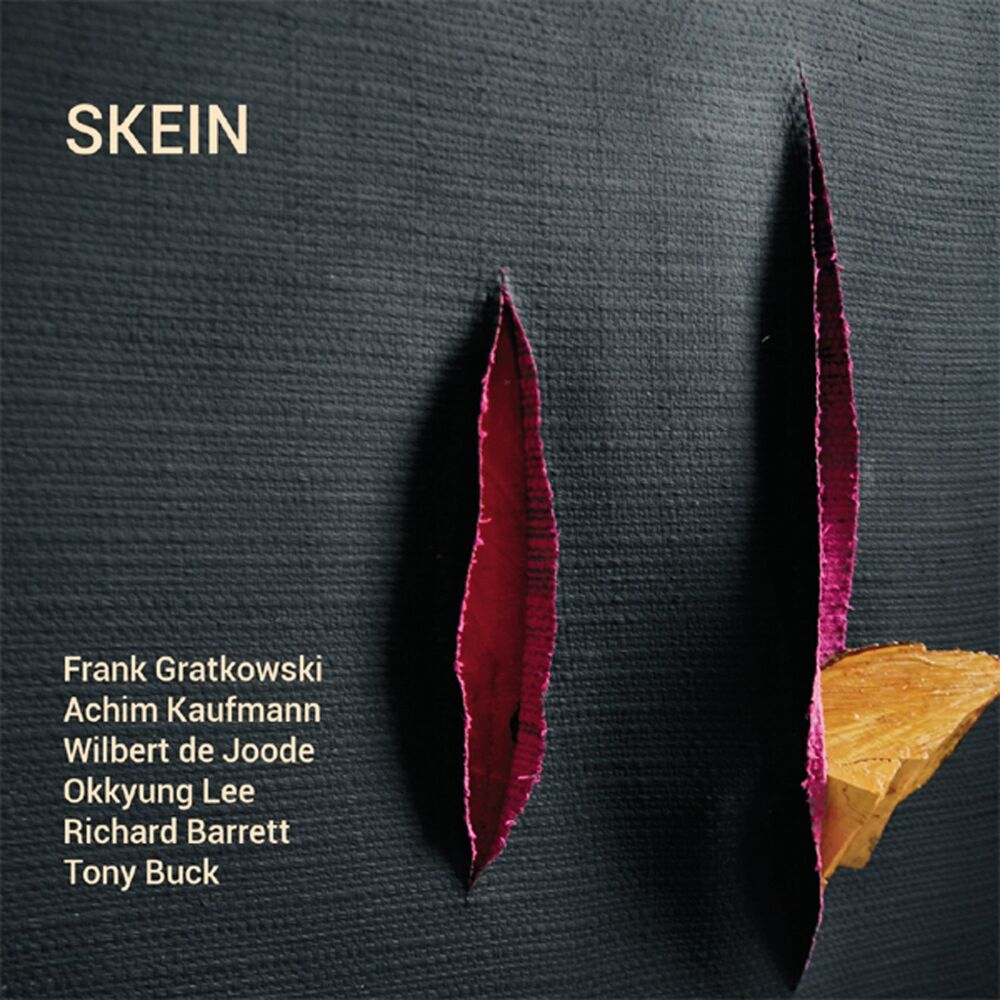 Picture of Skein