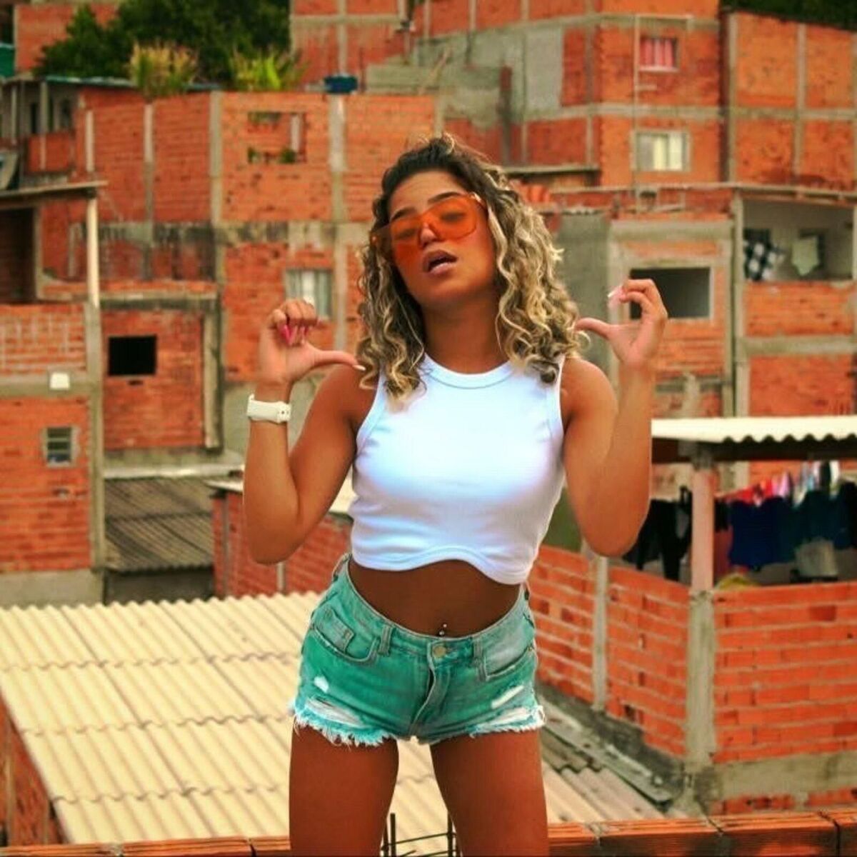 Album cover of MEU MALVADO FAVORITO