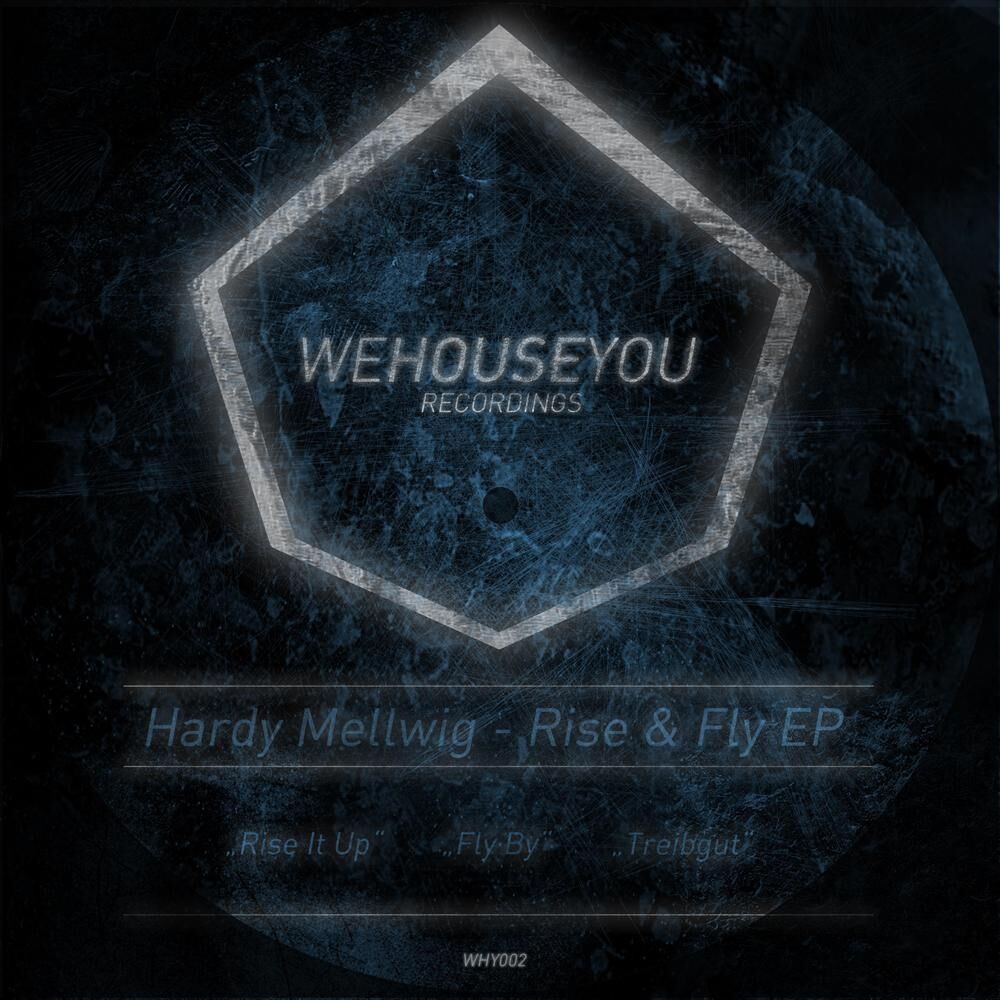 Picture of Rise & Fly EP