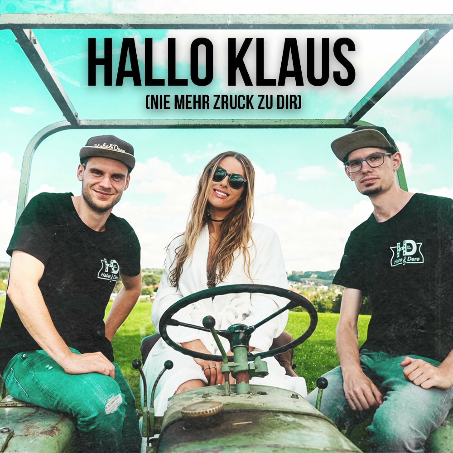 Album cover of HALLO KLAUS (nie mehr zruck zu dir)