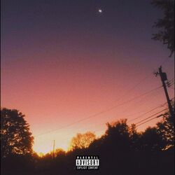 Cover of Agoraphobia