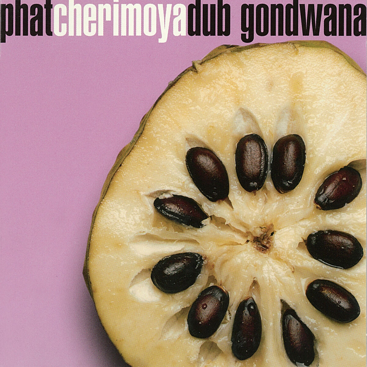 Album cover of Dame Dub