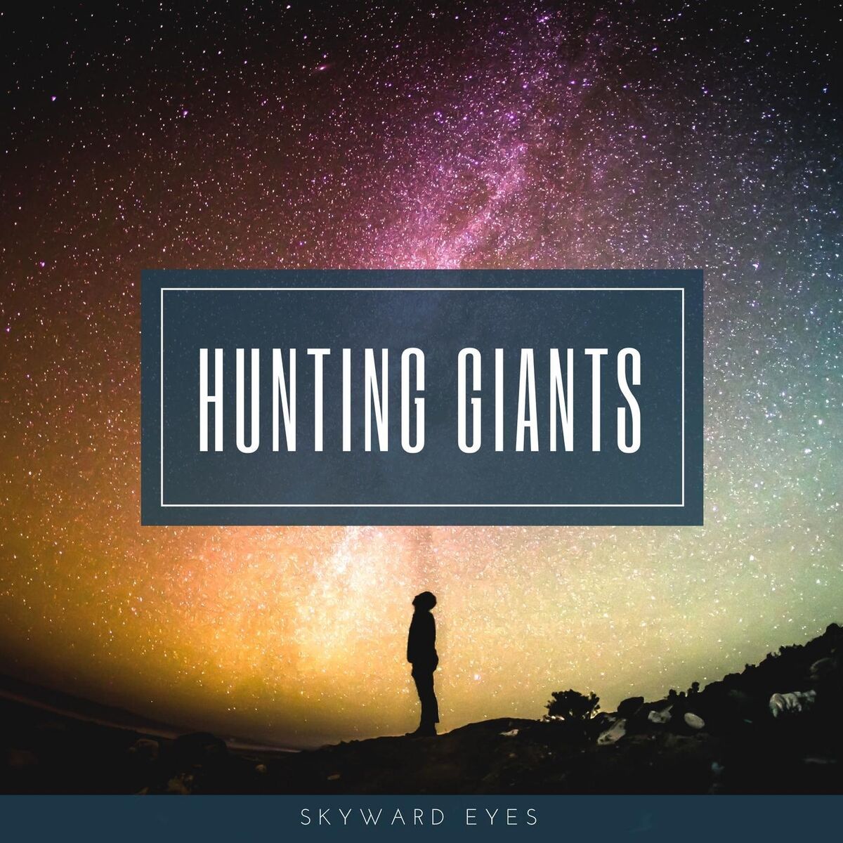 Album cover of Skyward Eyes