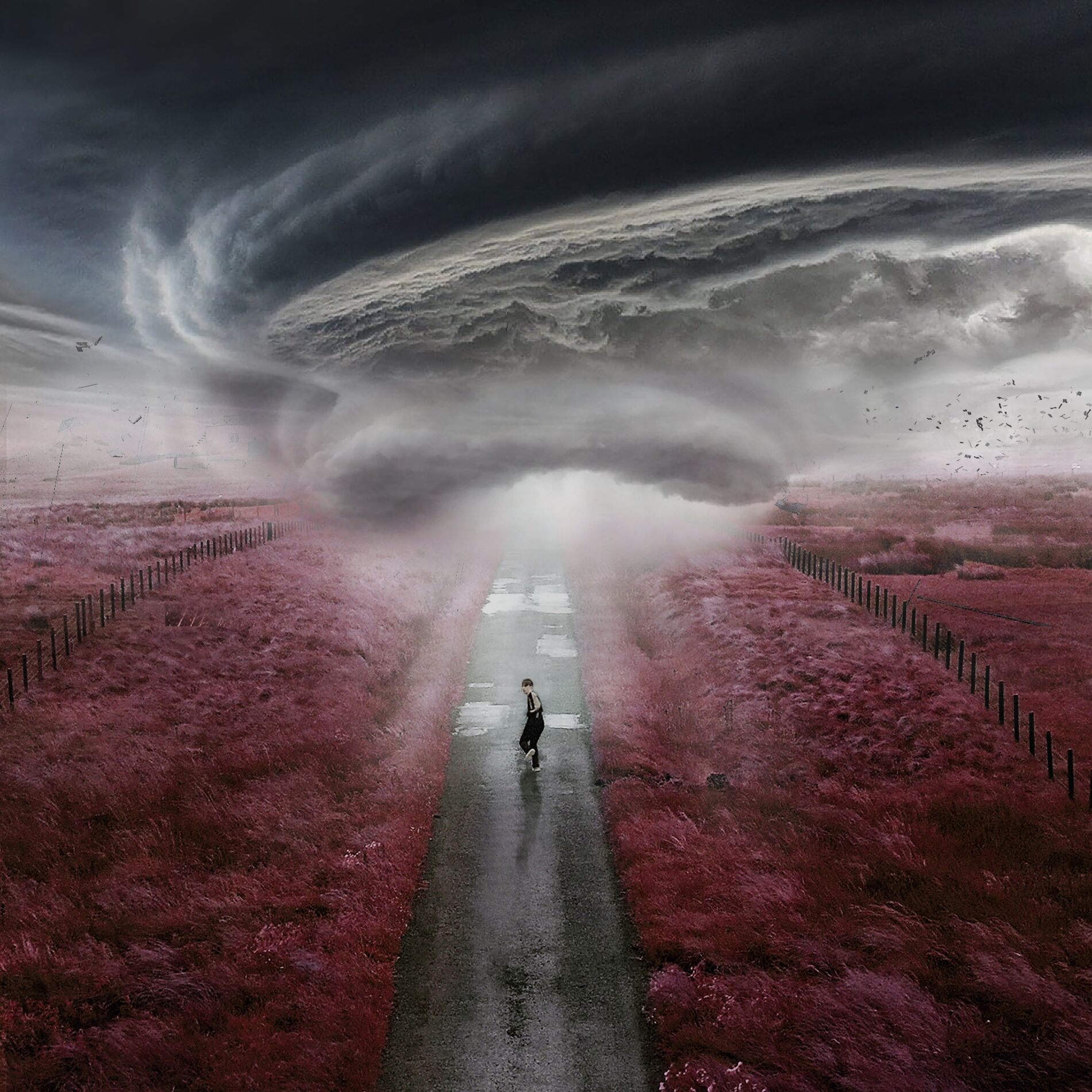 Album cover of The Storm