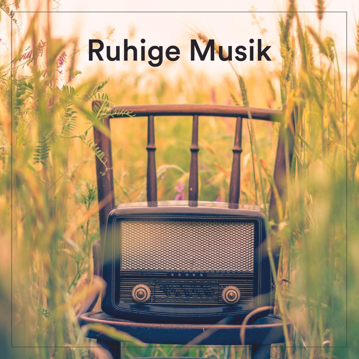 Album cover of Ruhige Musik