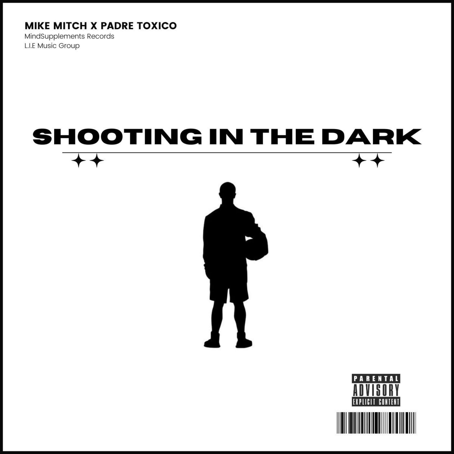 Album cover of Shooting In The Dark
