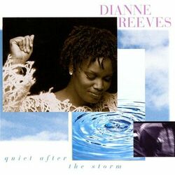 Cover of Quiet After The Storm