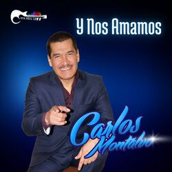 Cover of Y Nos Amamos