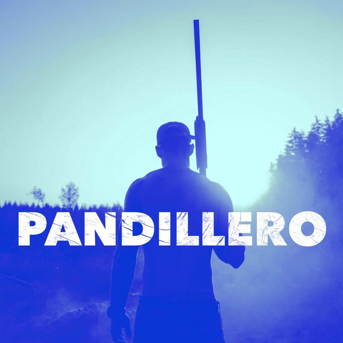 Album cover of Pandillero