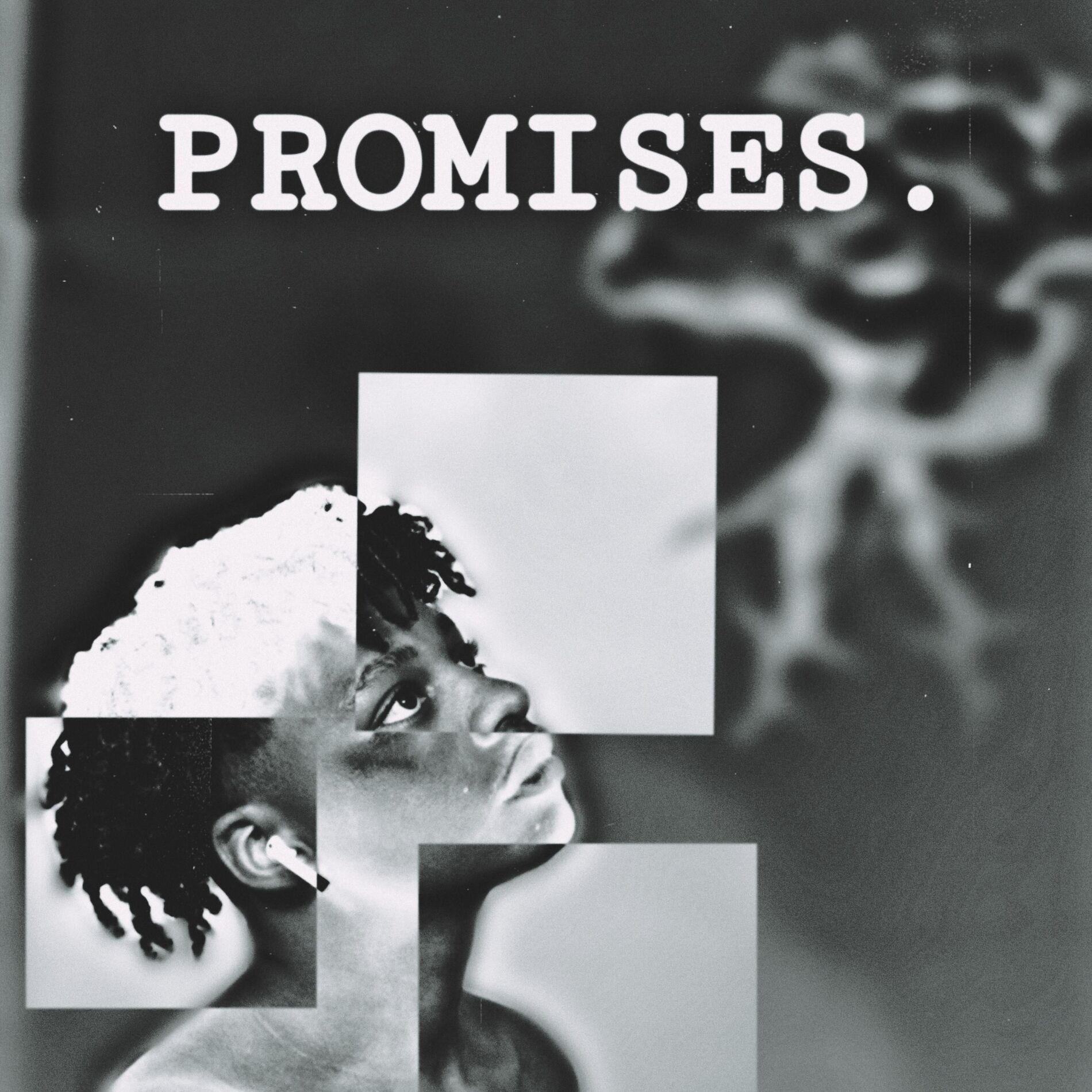 Album cover of Promises.