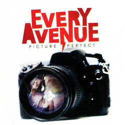 Cover of Picture Perfect