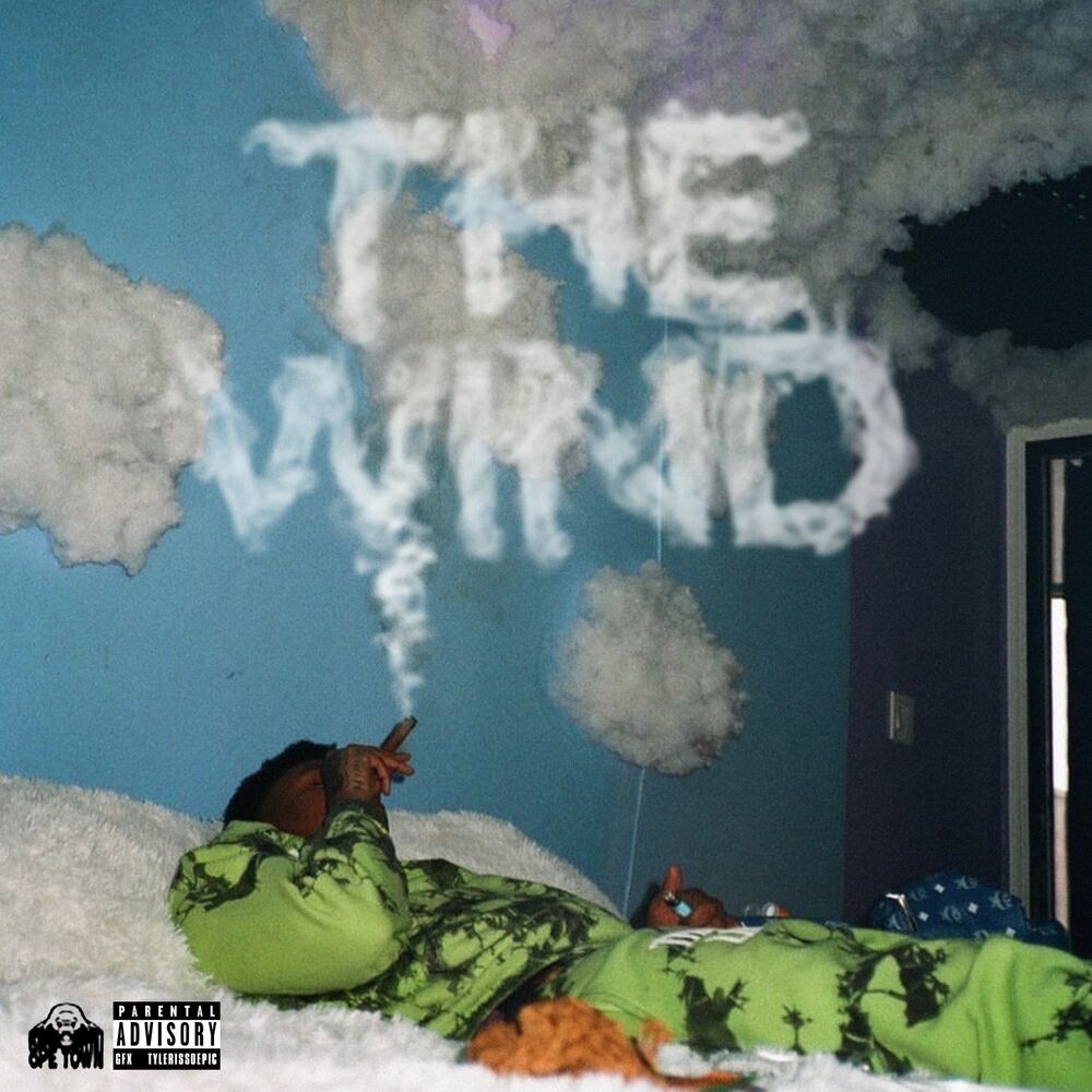 Picture of THE WIND