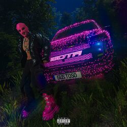 Cover of BOTA
