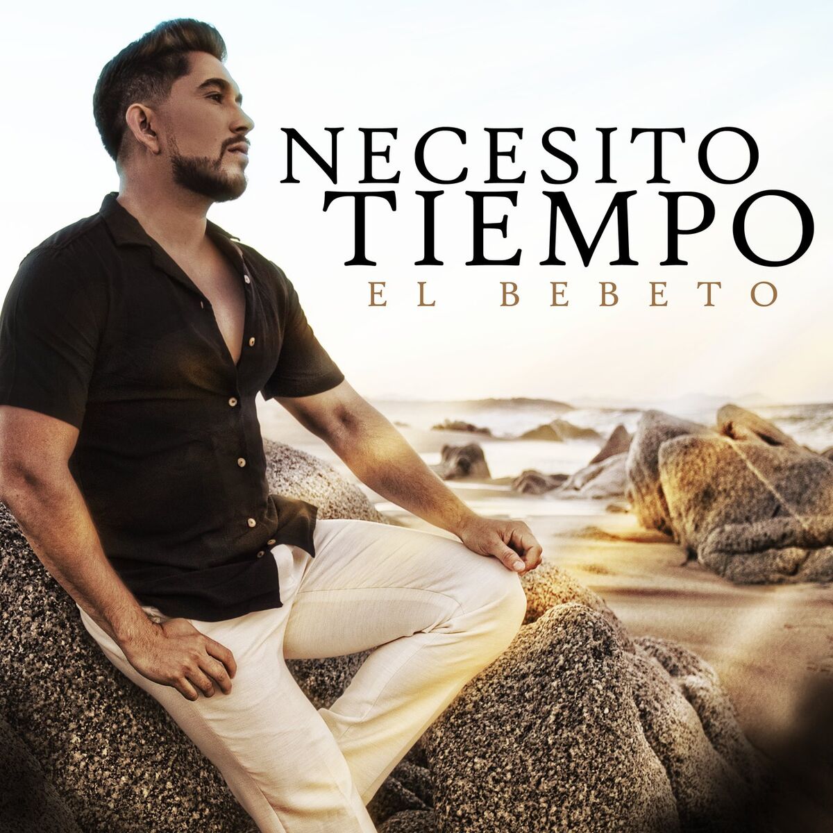 Album cover of Necesito Tiempo