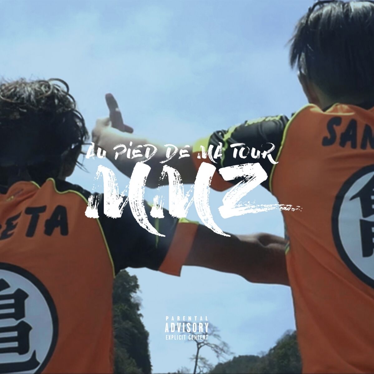 Album cover of Au pied de ma tour