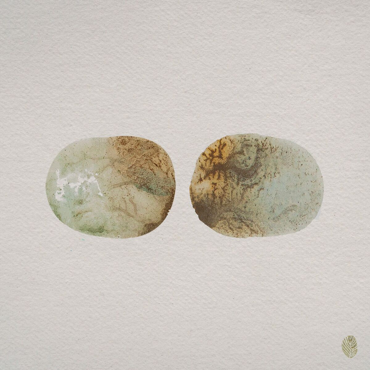 Album cover of Hide To Seek (Regrown)