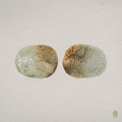 Cover of Hide To Seek (Regrown)